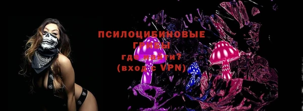 винт Алзамай