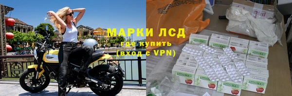 винт Алзамай
